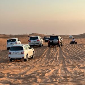 Morning Desert Safari