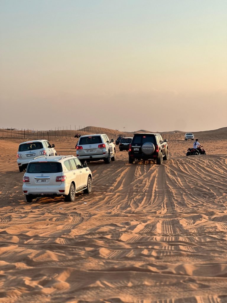 Morning Desert Safari