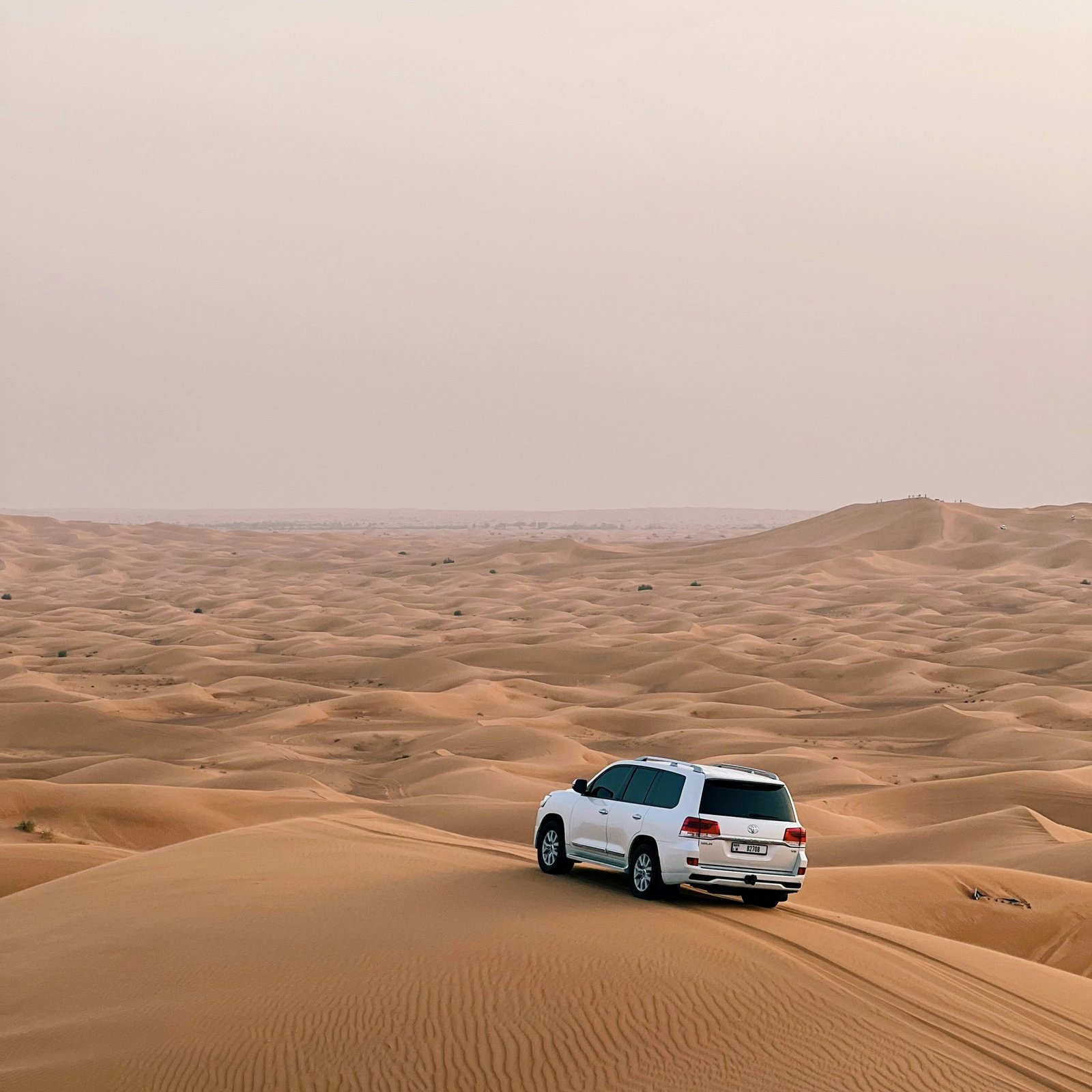 Desert Safari