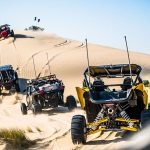 types of dune buggies