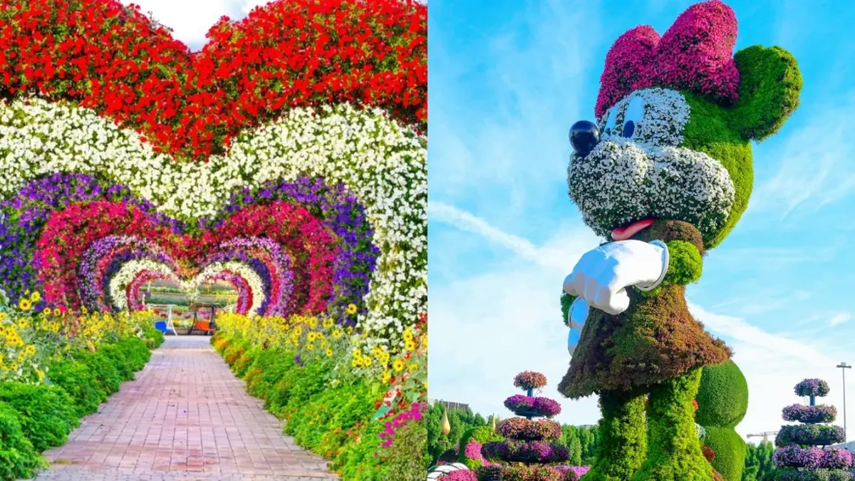 Floral Hearts & Character Displays