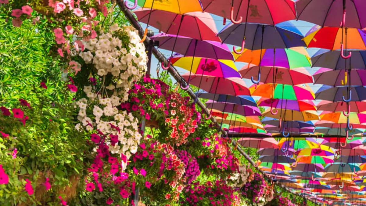 Colourful Umbrella Passage