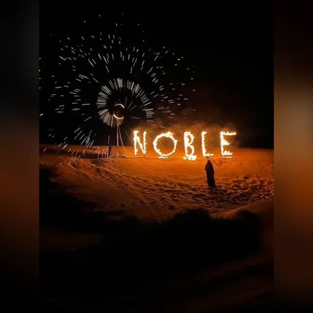 noble-camp-night-fire-entertainment